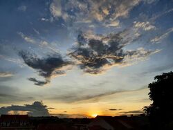 Sunrise Gardens (D28), Condominium #503878901